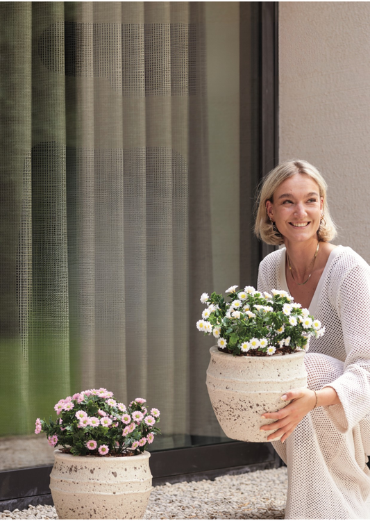 Ontdek onze nieuwe collectie UV-bestendige buitenplanten