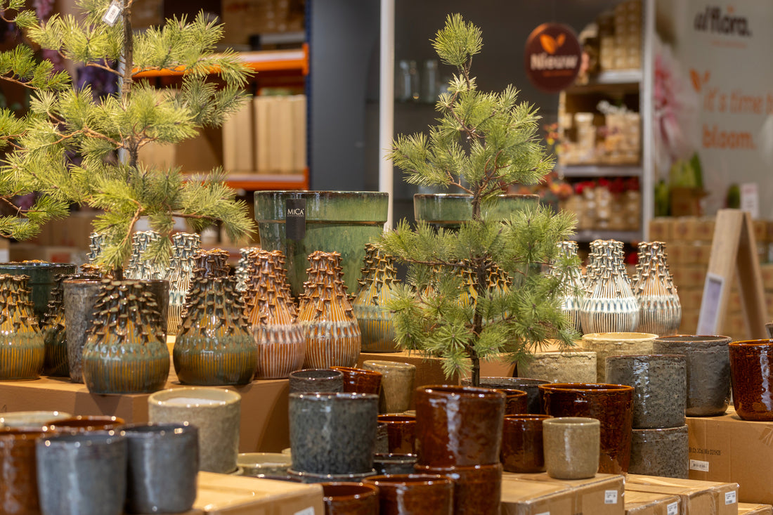 Maak jouw winkel herfstproof!