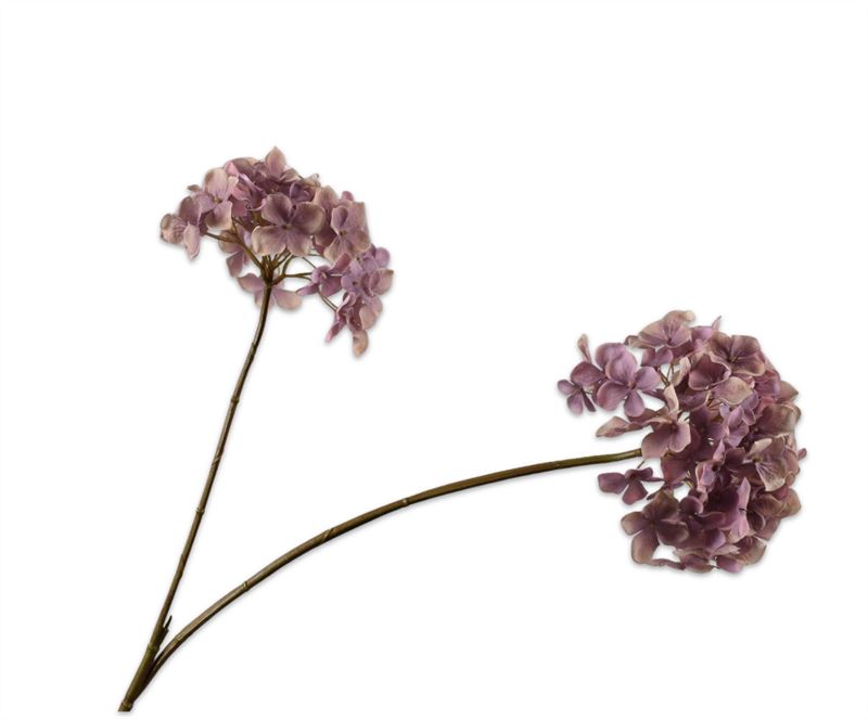 HORTENSIA TAK LAVEND 85CM