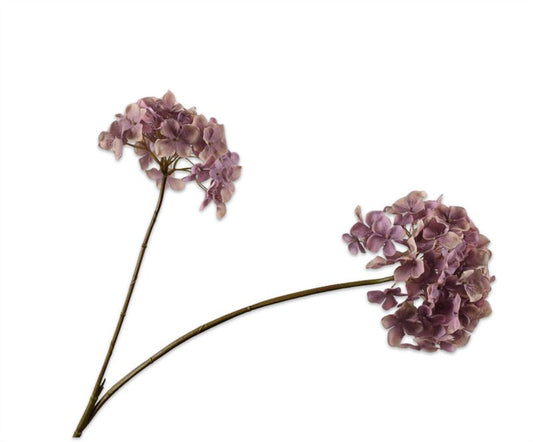 HORTENSIA TAK LAVEND 85CM