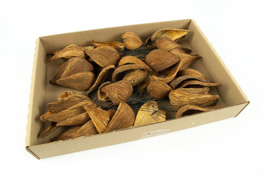Pentalaren o/dr. naturel100 st