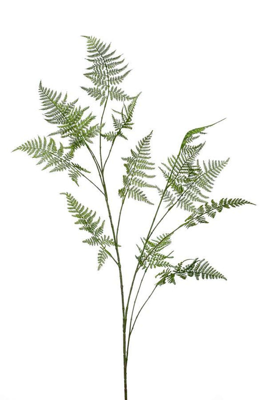 Asparagus spray green 135cm