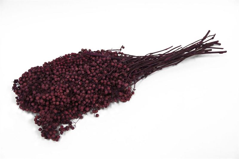 Pepper berry aubergine