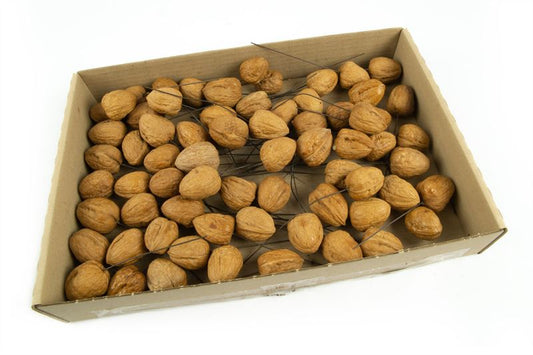 Walnoten o/dr. naturel70 st