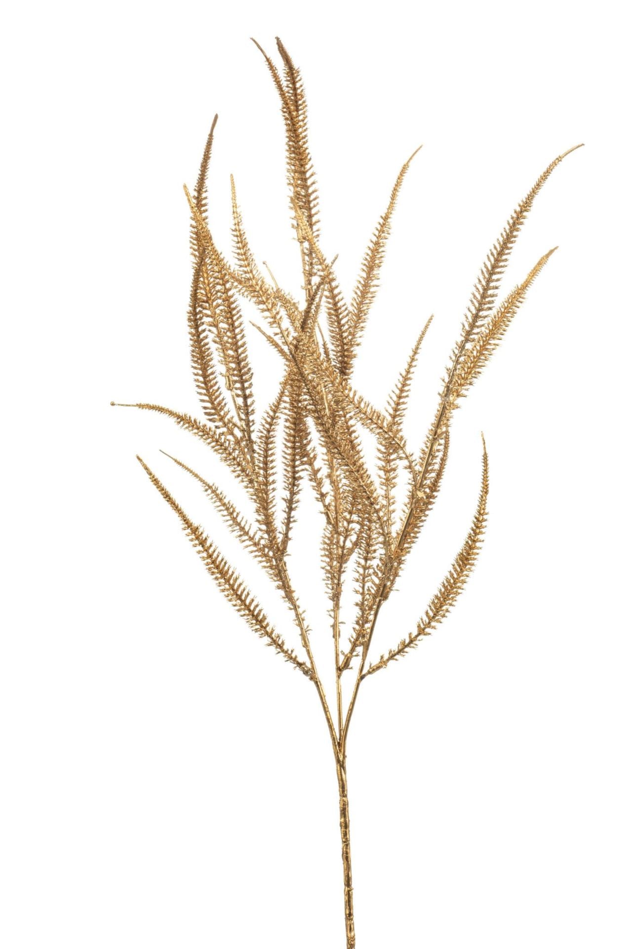 Amaranthus spray gold 70cm