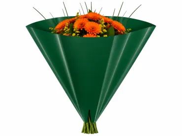 Hoes Luna d.groen 40x40 50st