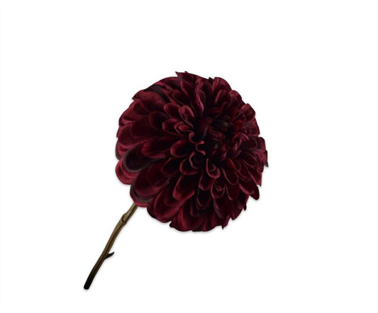 DAHLIA STEEL BORDEAUX 74CM