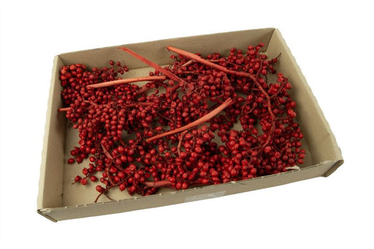 Canella rood