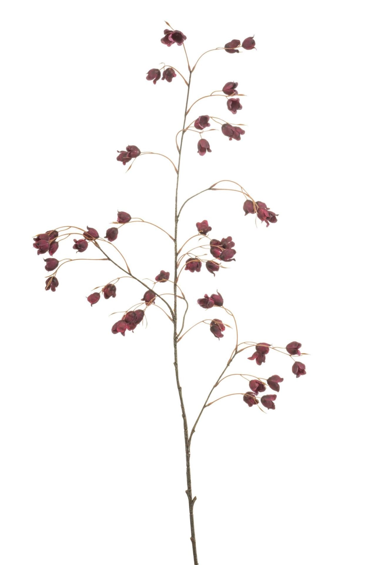 Buttercup spray burgundy 105cm
