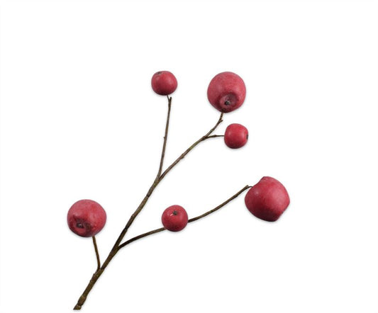 Appel tak 87cm rood 12/ds