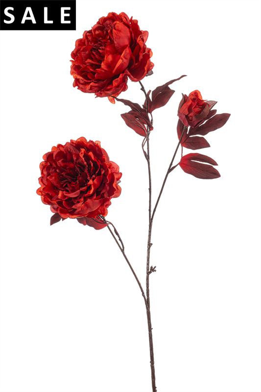 Pioenroos spray x3 80cm rood