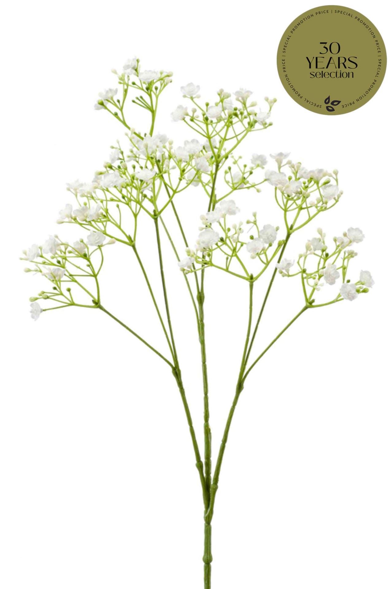Gypsophila spray white 68cm