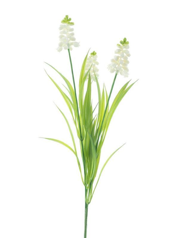 Muscari spray cream 54cm
