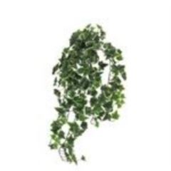 Ivy Chicago hanger XL 100cm 