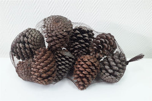 Maritima's net naturel