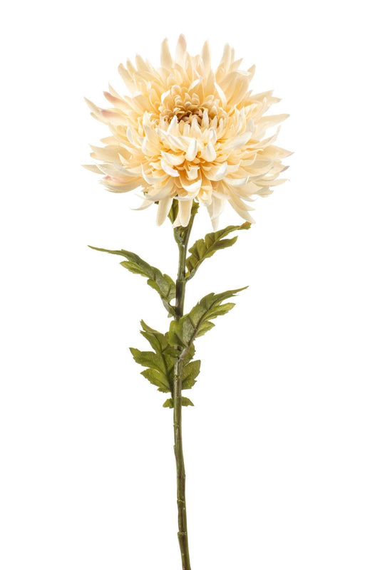 Chrysantum spray cream 63cm