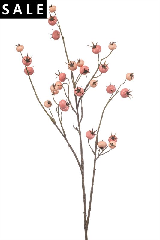Rosehip tak 102cm roze 12/ds