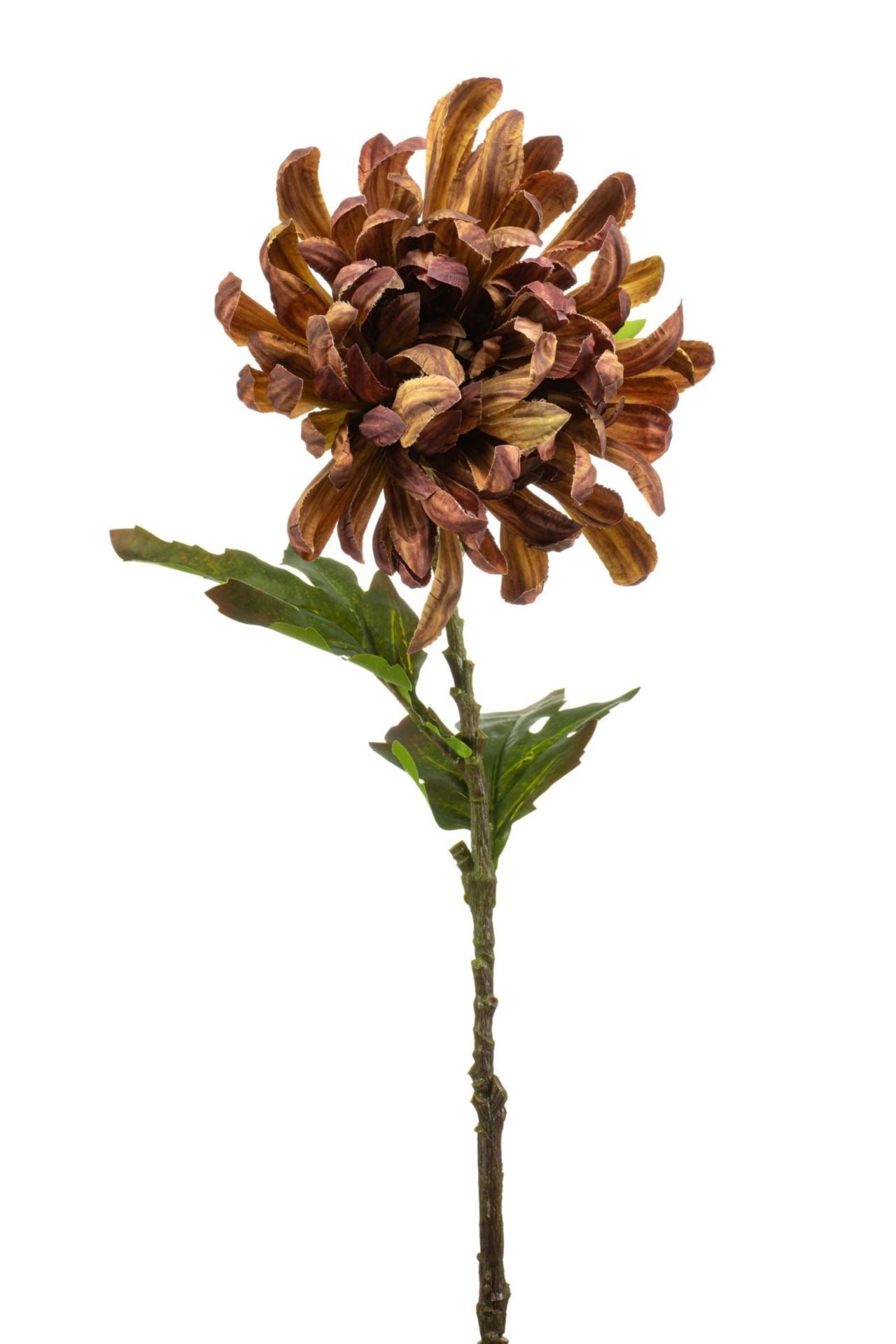 Chrysantum spray brown 60cm