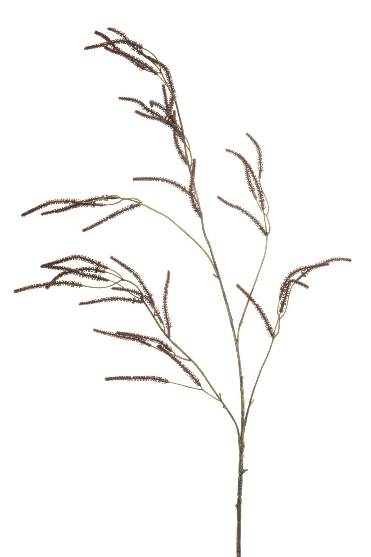 Amaranthus spray brown 100cm
