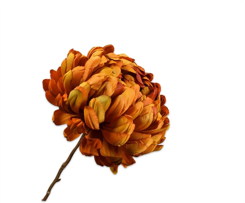 chrysant tak ora/gd  76cm
