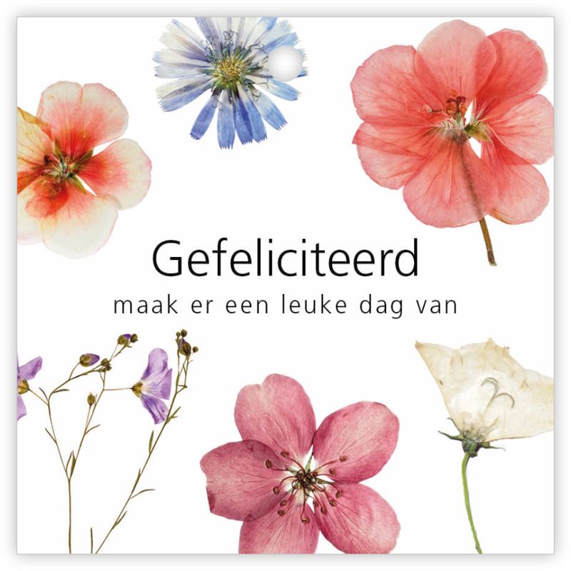 Kadokaartjes Le Jardin a 12 stuks G