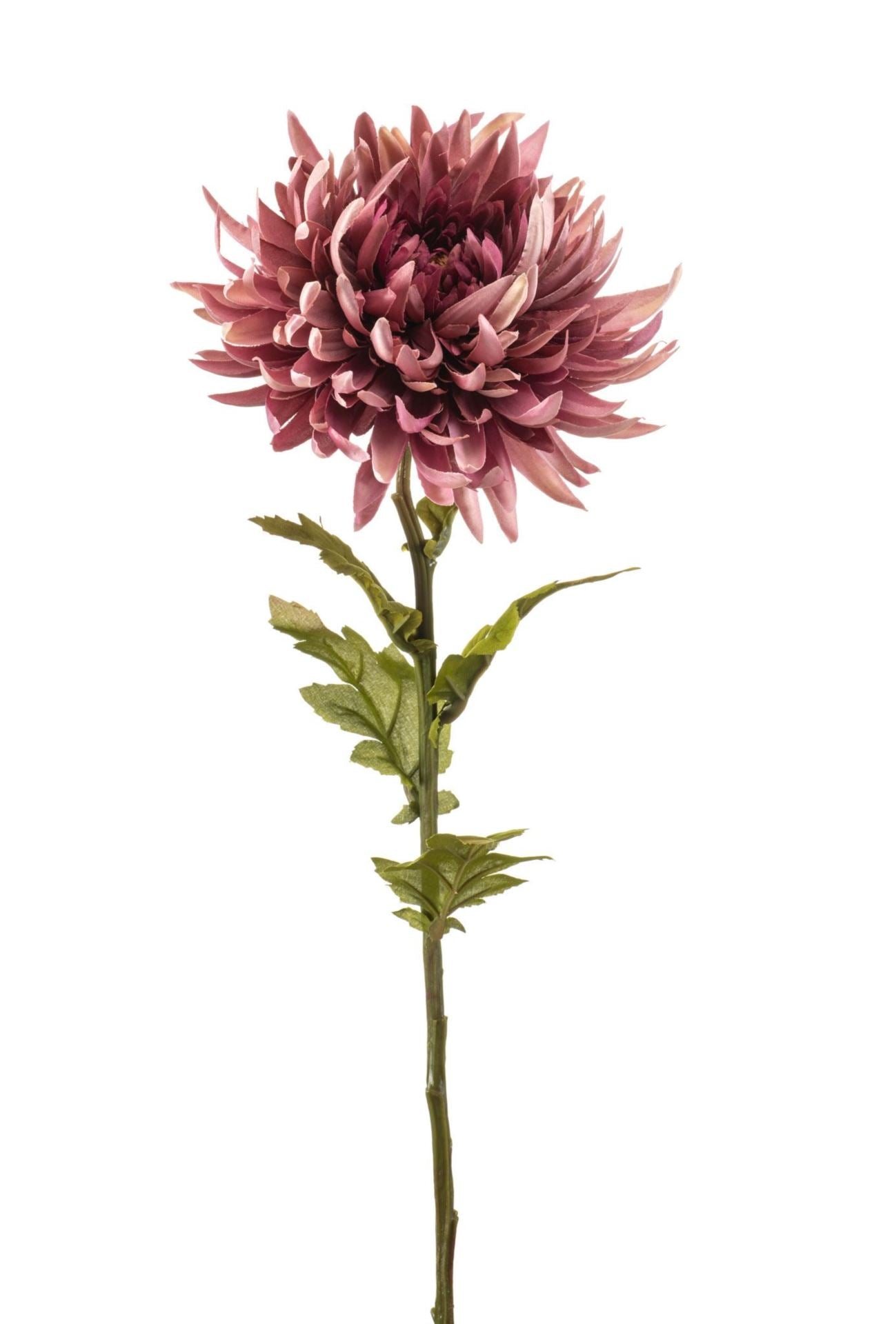 Chrysantum spray pink 63cm