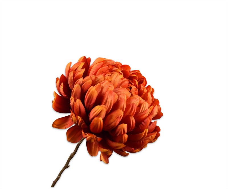 chrysant tak ora/rd  76cm