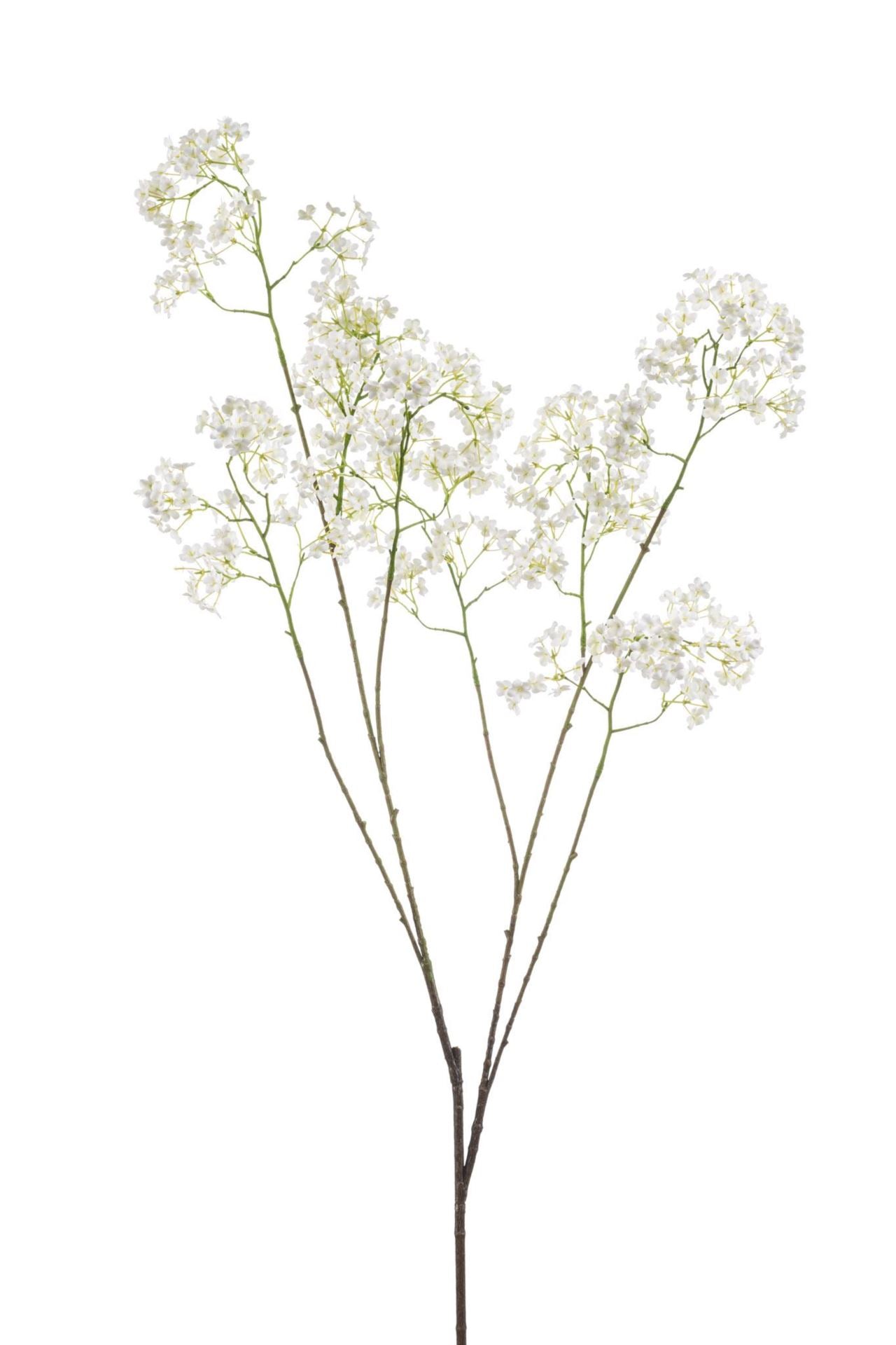 Gypsophila spray white 125cm