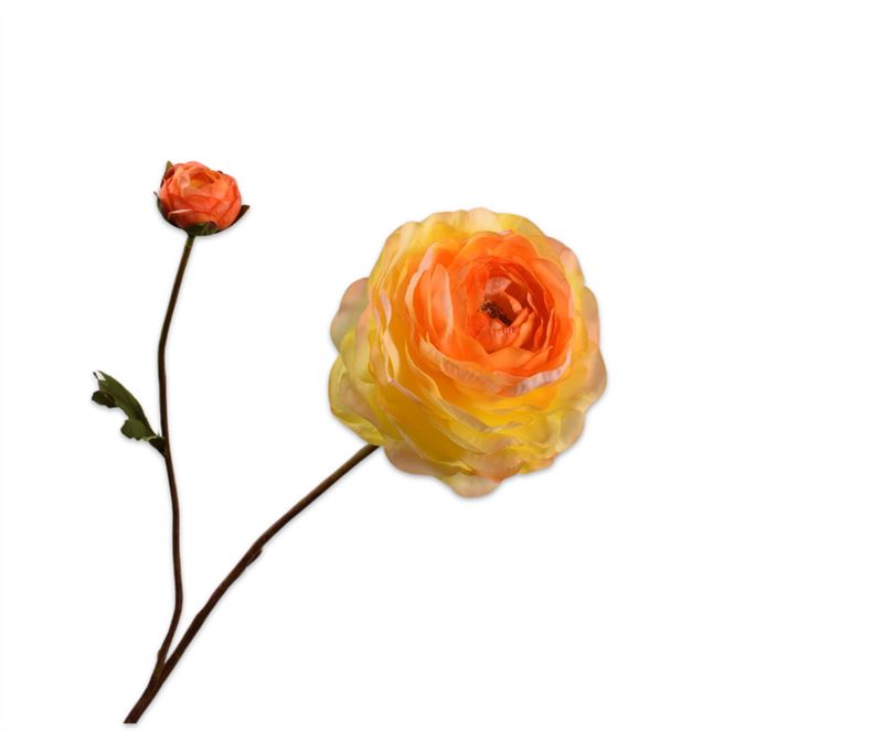 Ranonkel 65cm geel 24/ds