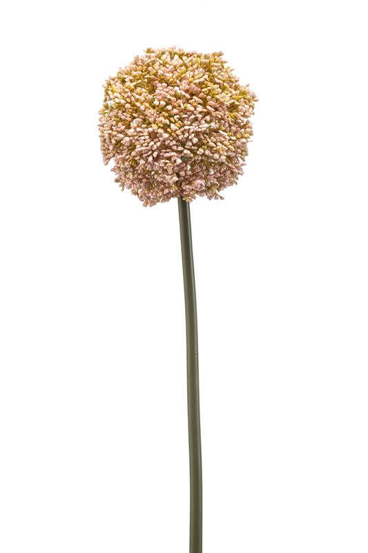 Allium spray peach 74cm