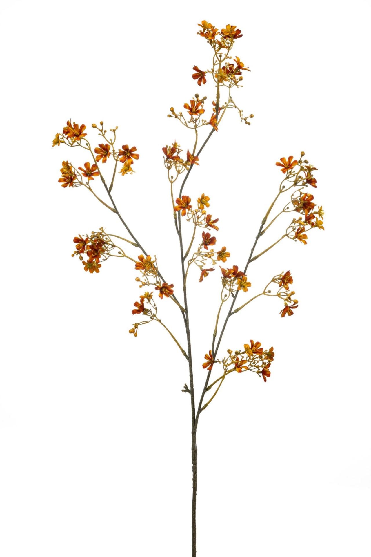 Daphne spray orange 105cm