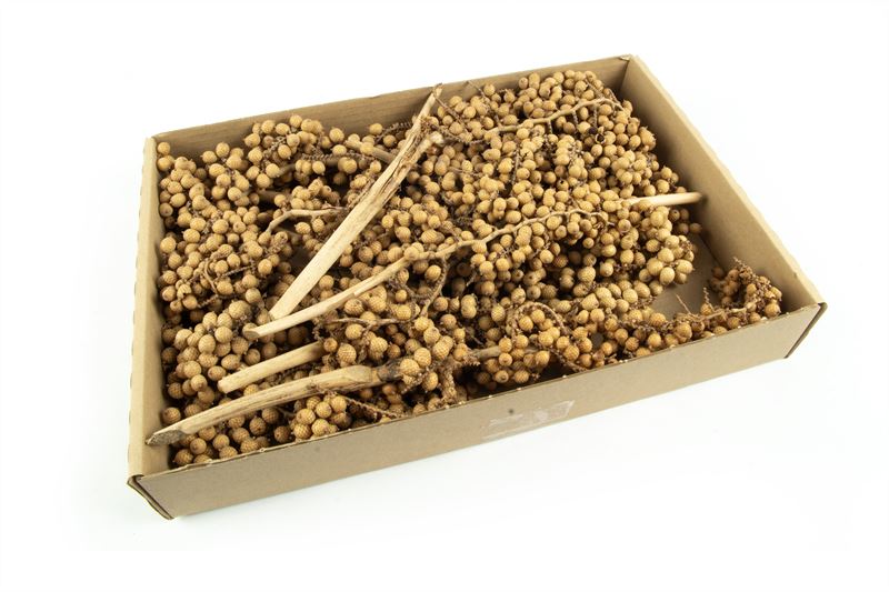 Canella naturel30 st