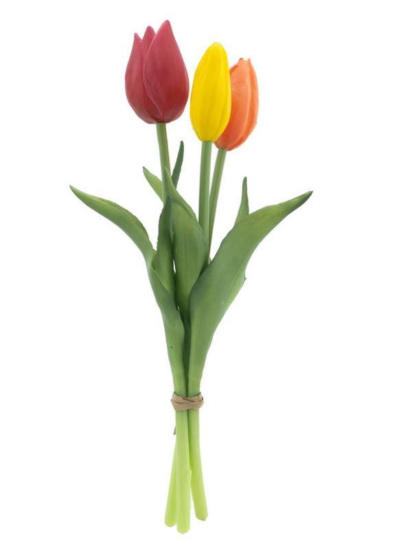 Holland Tulip Sally rd/or/gl 25cm.