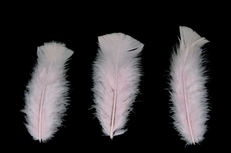 Turkey flats licht roze 45gr.