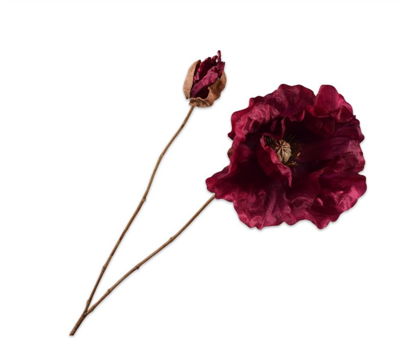 KLAPROOS STEEL FUCHSIA 82CM