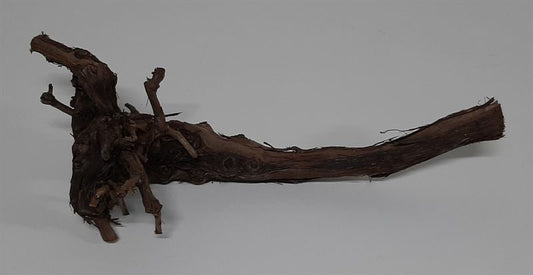 Druivenhout 50-60 cm naturel