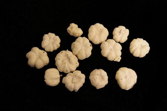 Putka pods misty wit 450gr.