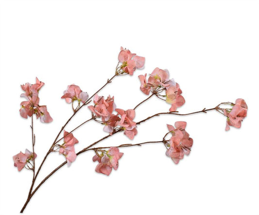 BOUGAINVILLEA TAK ZALM 130CM
