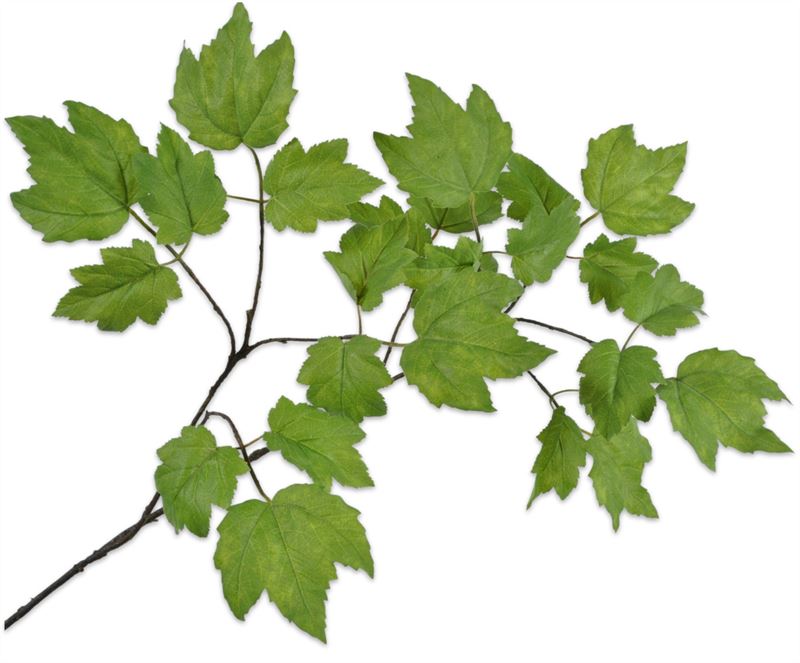 Tak 120cm blad groen