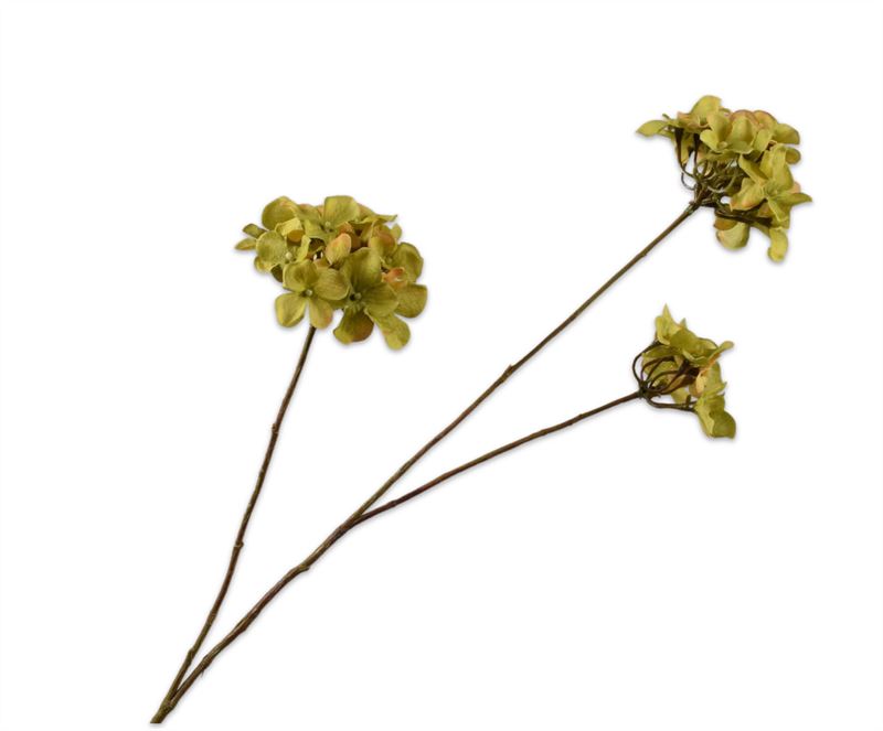HORTENSIA TAK GROEN  85 cm