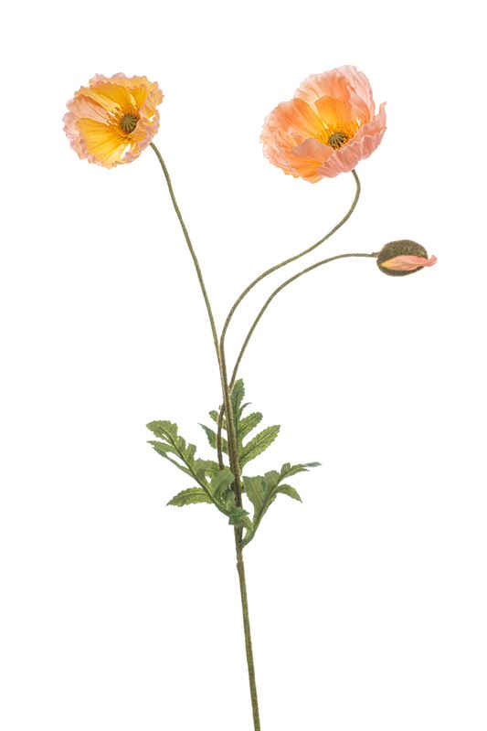 Poppy tak 75cm perzik x3 12/ds