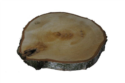 Houtschijf berk dia. 25-30 cm natur