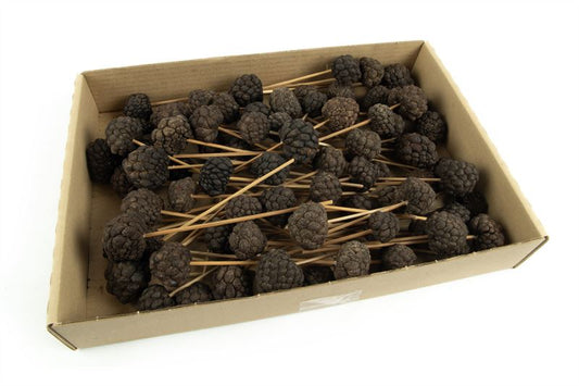 Ata fruit klein o/st. naturel