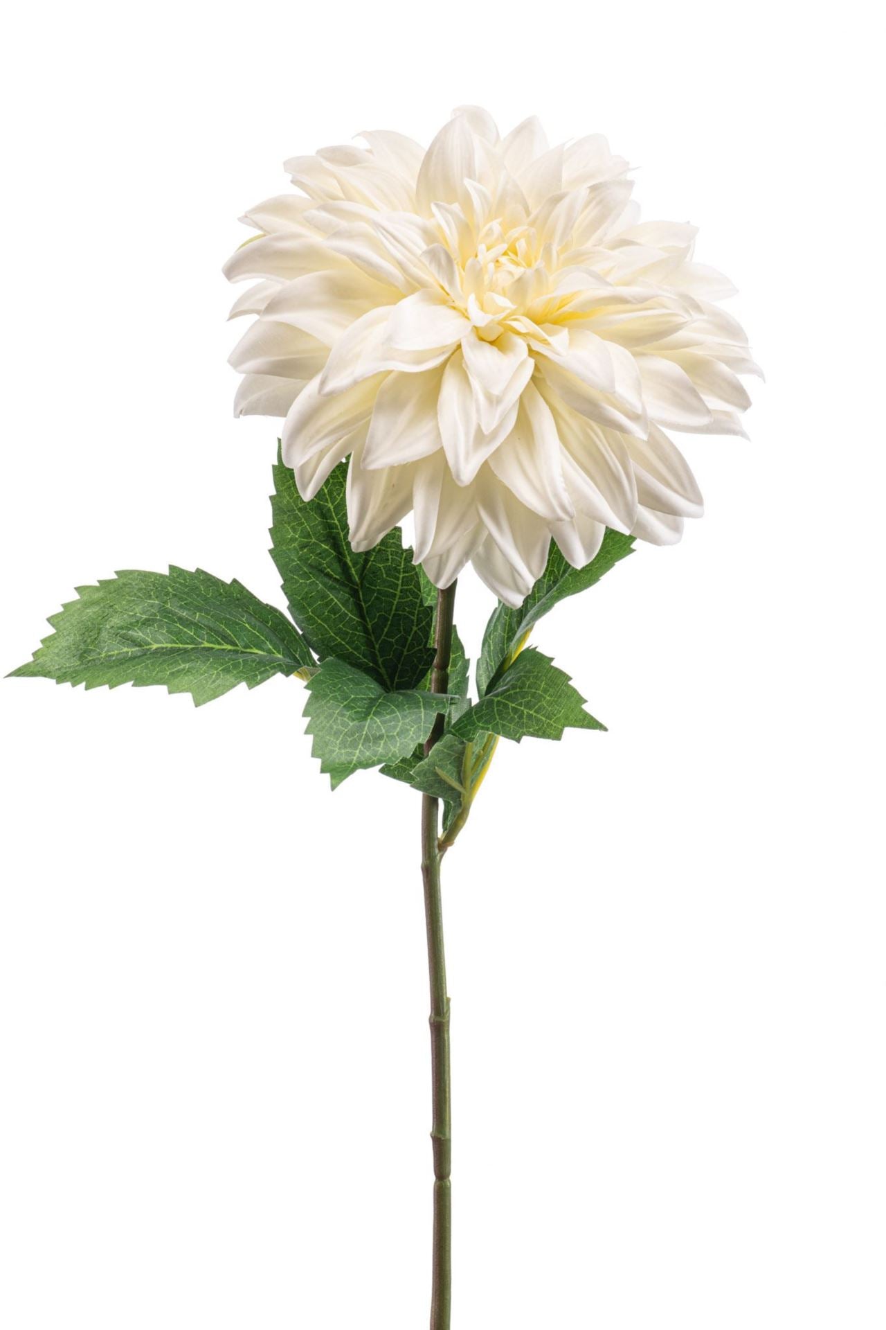 Dahlia spray cream 65cm
