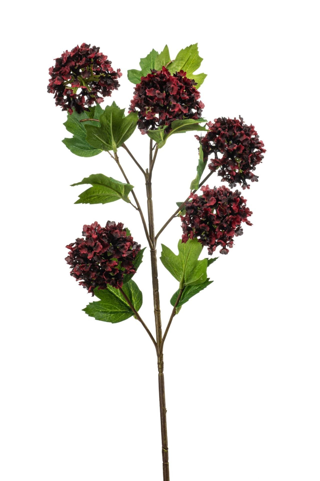 Viburnum spray burgundy 77cm