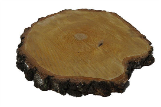 Houtschijf berk dia. 33-37 cm natur