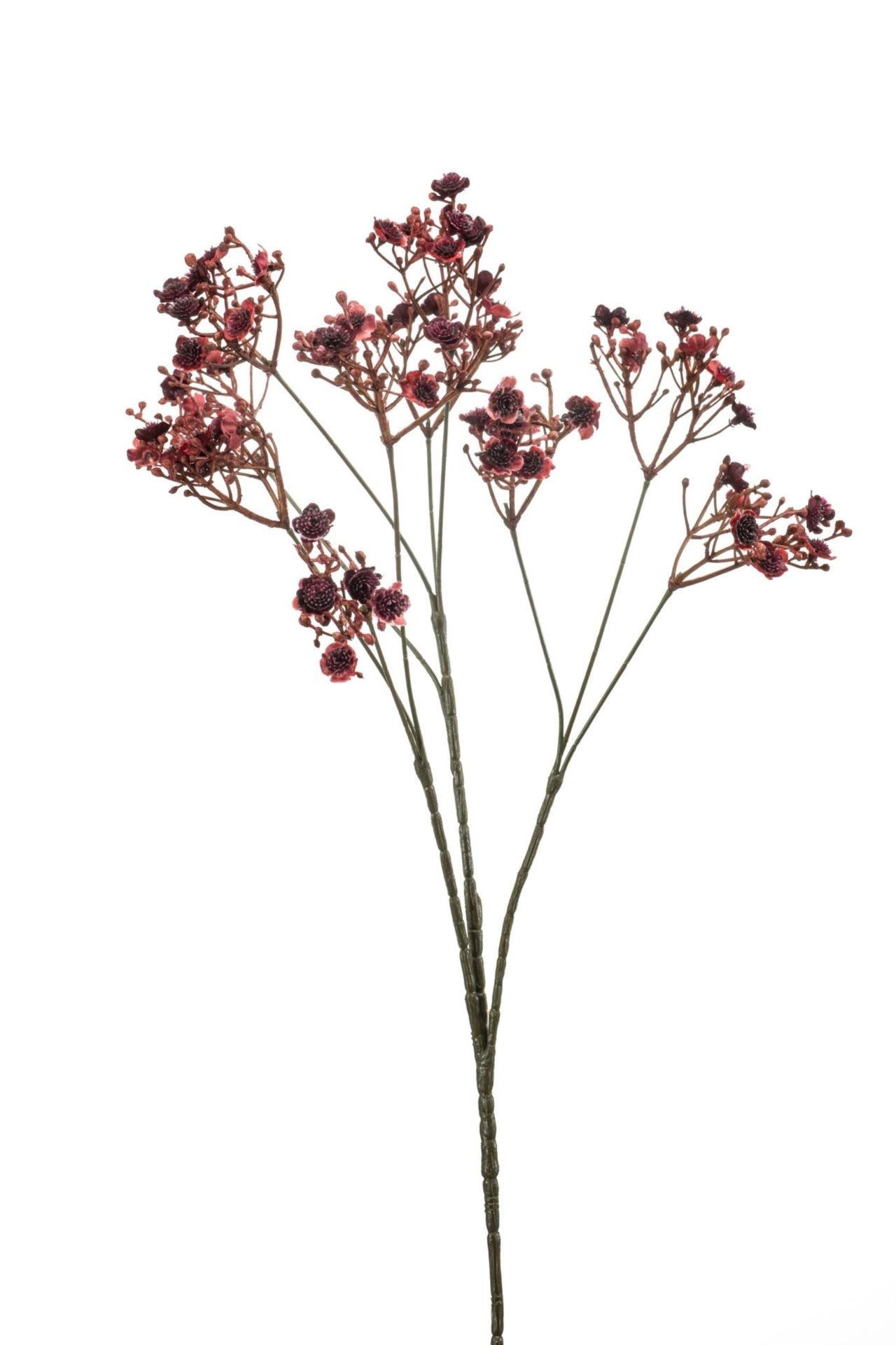 Gypsophila spray burgundy 68cm
