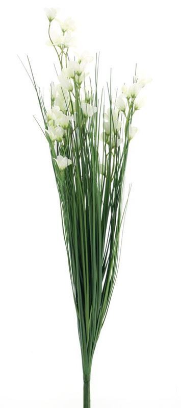 Campanula bush grass cream 71cm