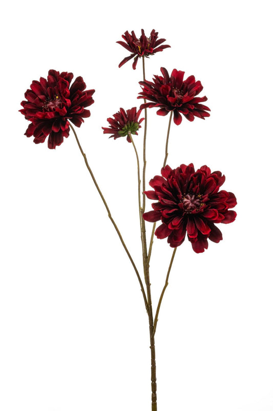 Zinnia spray red 90cm