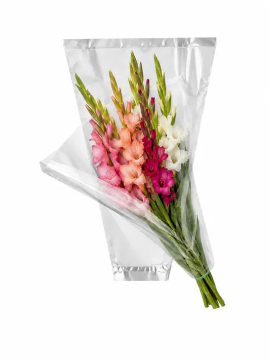 Hoes 58x25x8cm OPP 35 tr. a 50 st.